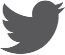 Seguici su twitter